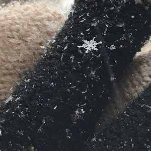 Meet your Posher, Leslie